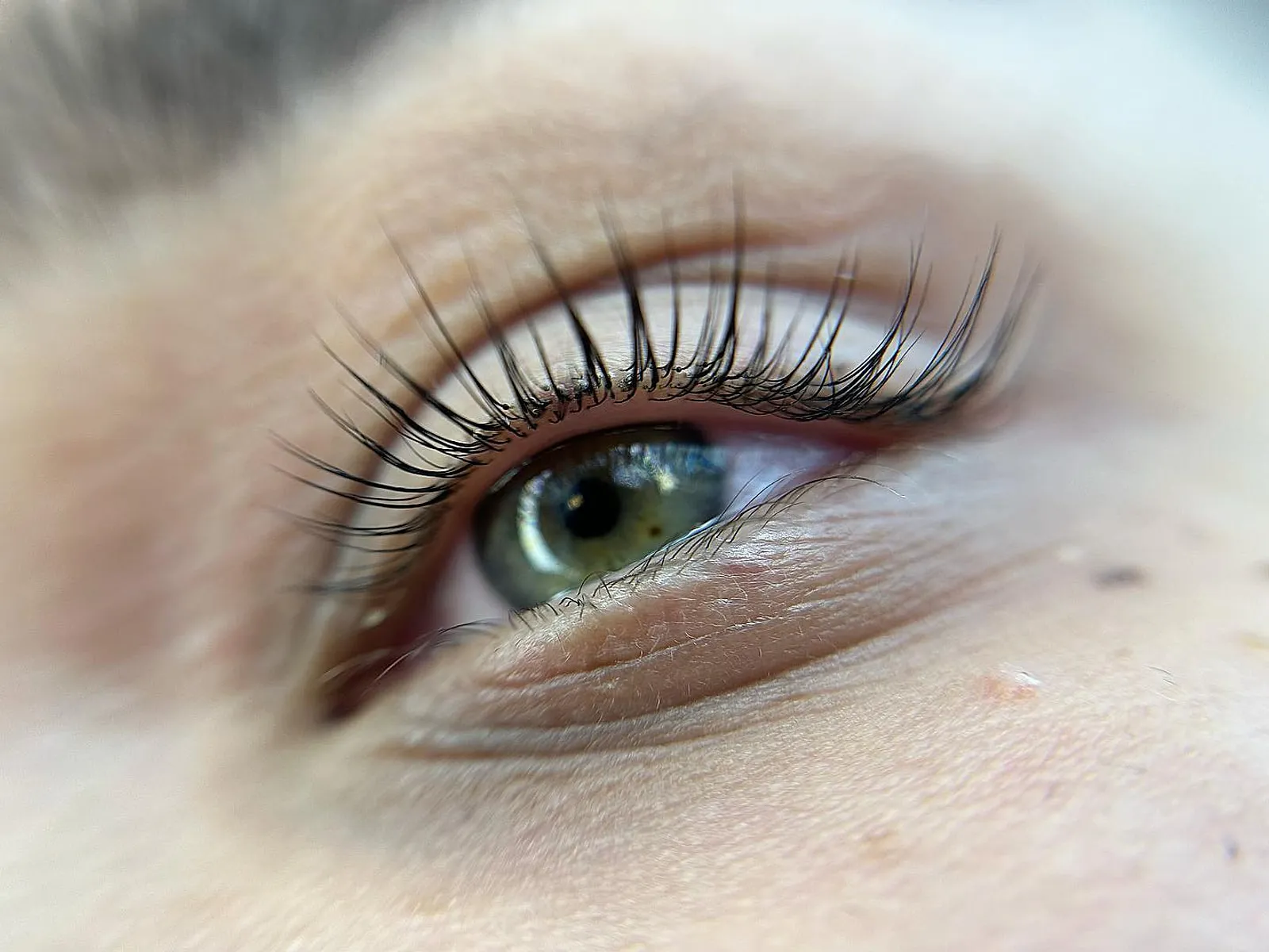 Laminácia obočia a lash lift — práca Aleny Savchuk