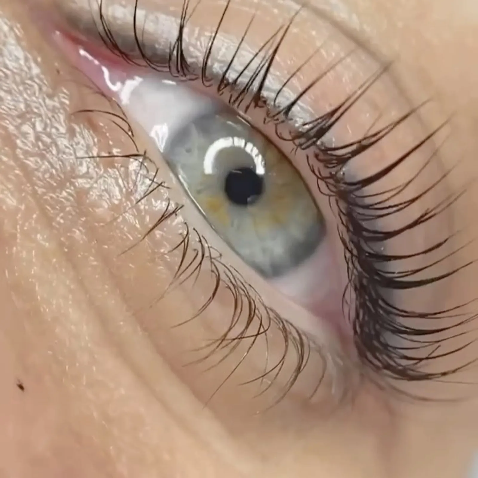Laminácia obočia a lash lift — práca Aleny Savchuk