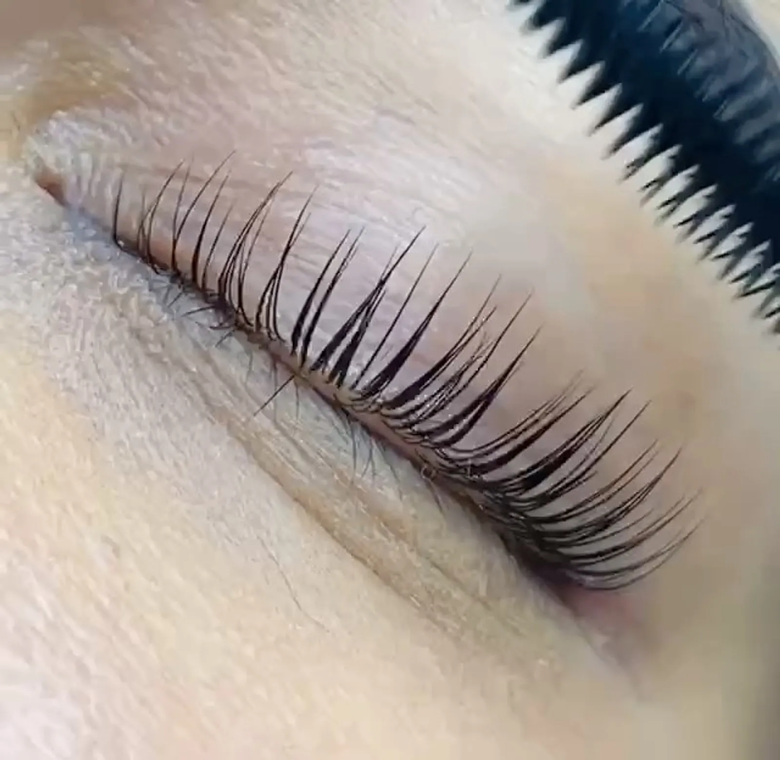 Laminácia obočia a lash lift — práca Aleny Savchuk